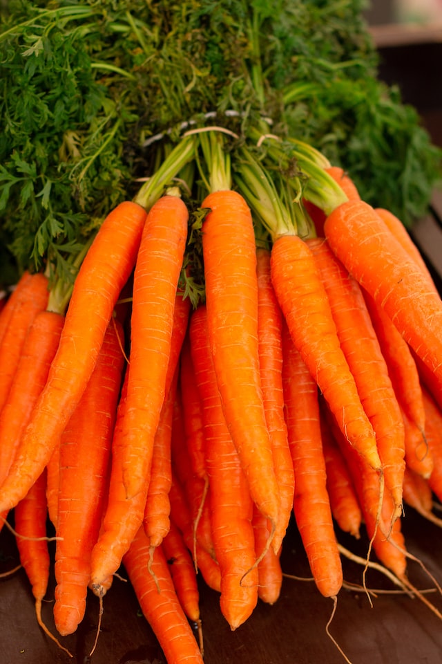 10 foods high in vitamin A for skin