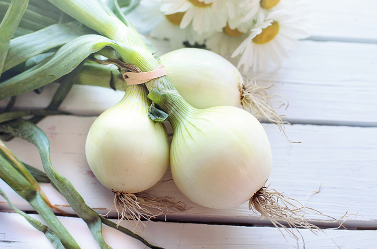 Best Onion Juice Remedies to Reduce Dandruff