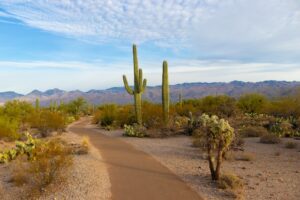 top-rated tourist attractions in Arizona