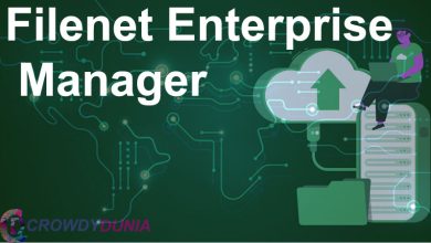 Improving Your Work with FileNet Enterprise Manager 2024