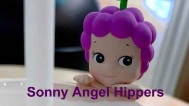 Sonny Angel Hippers: Riding the Trendy Wave