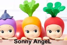 Sonny Angel The focus of collectible figurines.