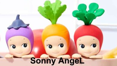Sonny Angel The focus of collectible figurines.