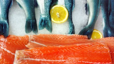 salmon-fish-raw-whole-ice